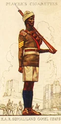 Kings African Rifles: Cuerpo de Camellos de Somalilandia, 1936