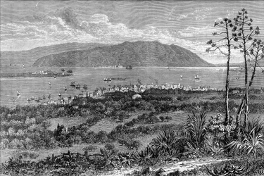 Puerto de Kingston, Jamaica, c1880