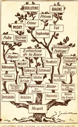 El árbol del alcohol