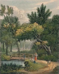 Lambert, siglo XIX