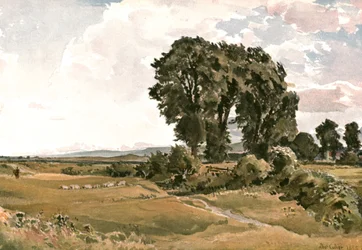 Paisaje, cerca de Wareham, Dorset - un Boceto al Aire Libre, c1900