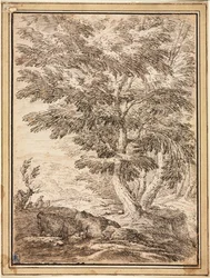 Paisaje con grupo de árboles