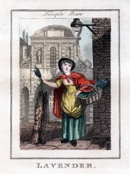 Lavanda, Temple Bar, Londres, 1805