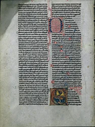 Hoja de una Biblia: Inicial E: Leones y serpientes entrelazados 1 de 2 hojas excisadas, c. 1225-50