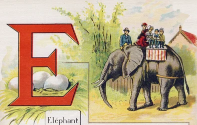 Letra E: Elefante. Grabado en "ABC El alfabeto de los bebés". Volumen irrompible sobre lienzo en cromolitografía. A. Capendu, editor, París. Principios del siglo XX, alrededor de 1905. Imágenes de origen inglés, acompañadas de palabras en francés correspon