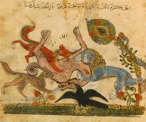 León vence a un camello, Kalila Wo-Dimna, libro de cuentos de hadas árabe-español, siglo XIII