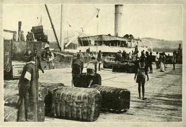 Cargando un cargamento de algodón, c1948