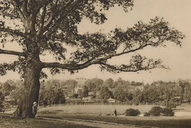 Mirando desde las laderas verdes de Caen Wood hacia la aguja de la iglesia de Old Highgate, c1935