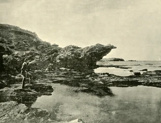 Marea baja, Shelly Beach, Warrnambool, 1901