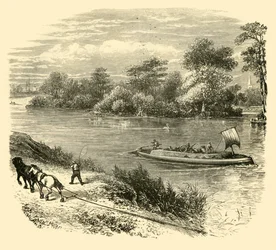 Isla Magna Charta