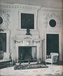 Chimenea en el salón de estado