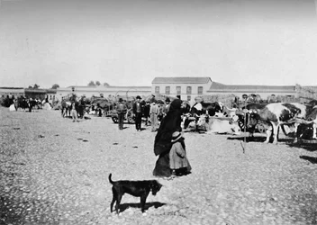 Día de mercado en Chillán, 1911