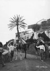 Hombres con camellos, Las Palmas, Gran Canaria, Islas Canarias, España, c1920s-c1930s