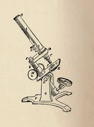 Microscopio