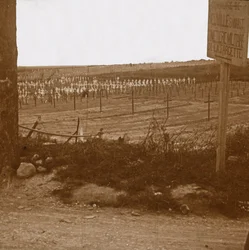 Cementerio militar, Neuville-Saint-Vaast, norte de Francia, c. 1914-c. 1918