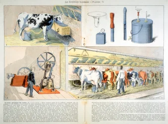 Sala de ordeño equipada con máquina de ordeño de succión y pulsación Thistle, 1899