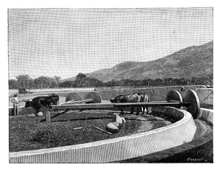 Molino para descascarar café, América Central, c1890