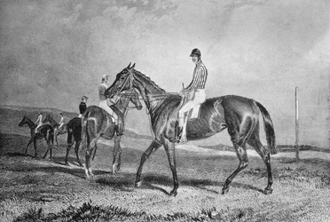 Mincepie, siglo XIX, 1911