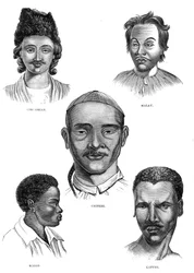 Razas mongolas