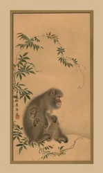 Mono