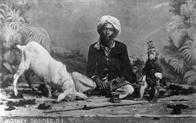Entrenador de monos, India, siglo XX
