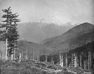 Monte Hood, Oregón, c1897