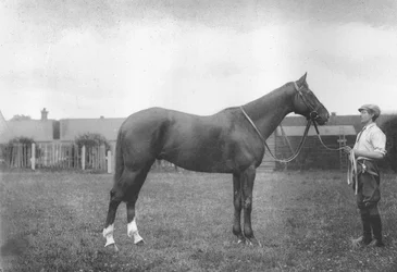 La fortuna del monte Prospect, 1911