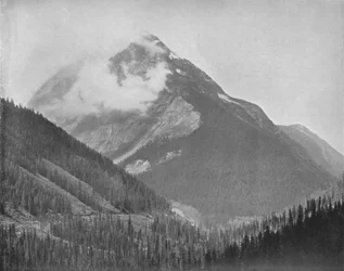 Monte Ross, siglo XIX
