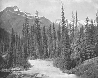 Montes Cheops y Hermit, Cordillera Selkirk de las Rocosas, EE.UU., c. 1900