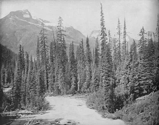 Montes Cheops y Hermit, Cordillera Selkirk de las Rocosas