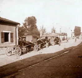 Carros de mulas con suministros, Verdún, norte de Francia, c1914-c1918