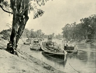Barcazas y Vapores de Murray en Echuca