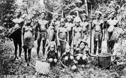 Pueblo Naga, India, siglo XX