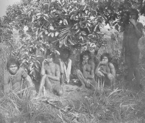 Indios Nambikwara del Estado de Mato Grosso, pacificados por el Coronel Rondon, pero aún no completamente dr