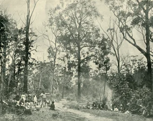 Deportes nativos, Lake Tyers, 1901