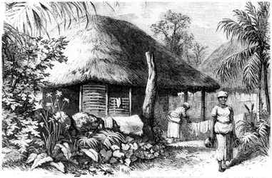 Habitación nativa, Santo Domingo, 1873