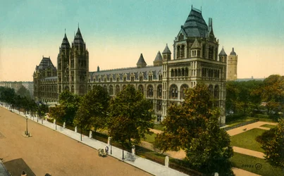 Museo de Historia Natural, Londres, c1910