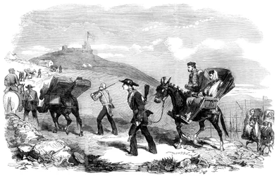 Nuevo Servicio de Transporte en Ambulancia, 1855