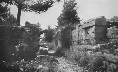 Olimpia - Entrada al campo atlético, 1913