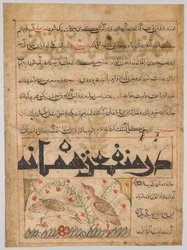 Sobre los beneficios de las codornices verso de un Manafi al-Hayawan..., c. 1300