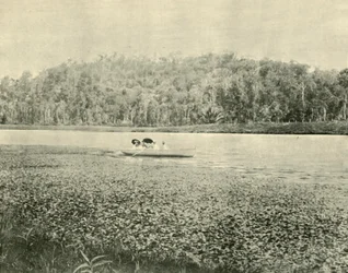 En el lago Enoggera