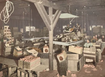 Empaque de naranjas en Redlands, publicado en 1899