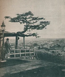 Vista de Tokio moderno, la capital de Japón, 1907
