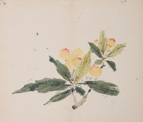 Página de Shi Zhu Zhai