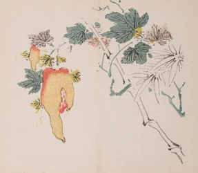 Página de Shi Zhu Zhai