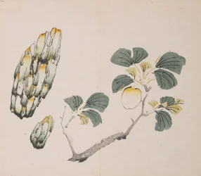 Página de Shi Zhu Zhai