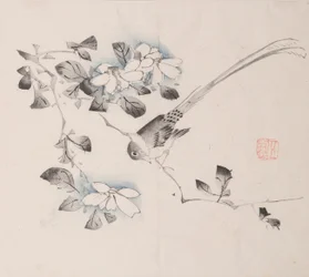 Página de Shi Zhu Zhai