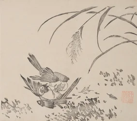 Página del Shi Zhu Zhai