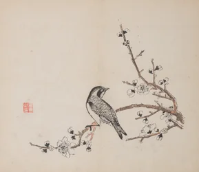 Página de Shi Zhu Zhai