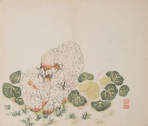 Página de Shi Zhu Zhai